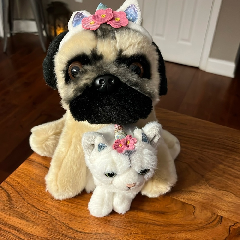 Doug the pug